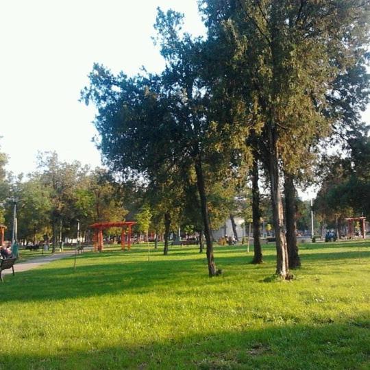 Regy Lägenhet Oradea Exteriör bild